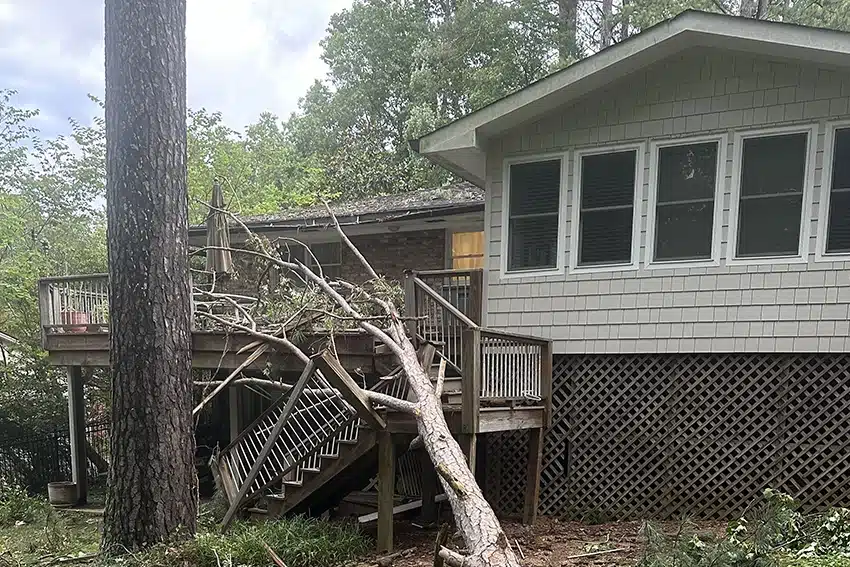 Emergency Tree Removal in Marietta, GA