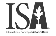 International Society of Arboriculture