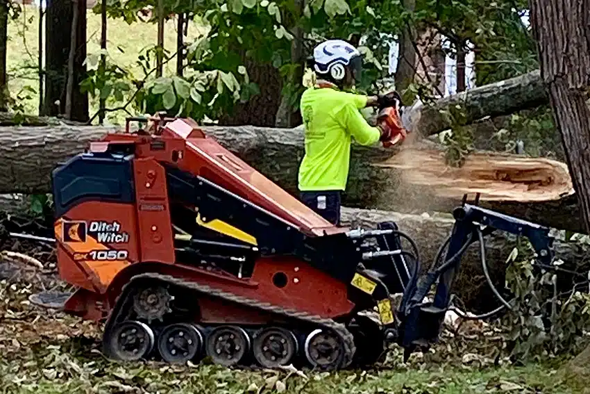 Emergency Tree Services