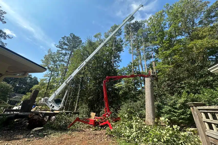 Tree Removal In Marietta, GA