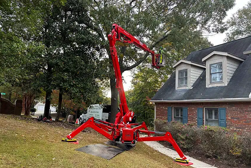 Tree Trimming with spider