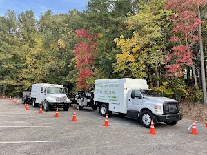 Restoration Tree Care place picture